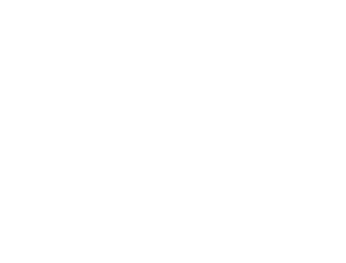 Ingeneo